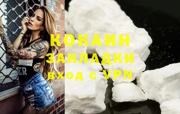 крисы Балахна