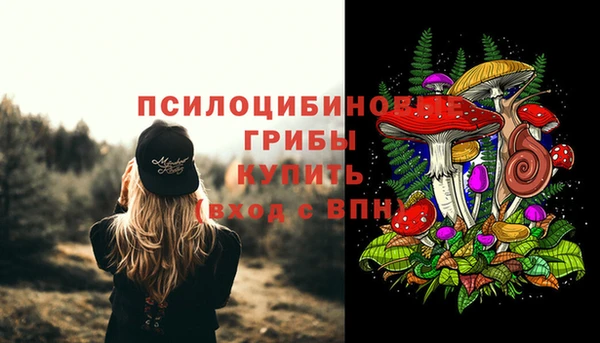крисы Балахна