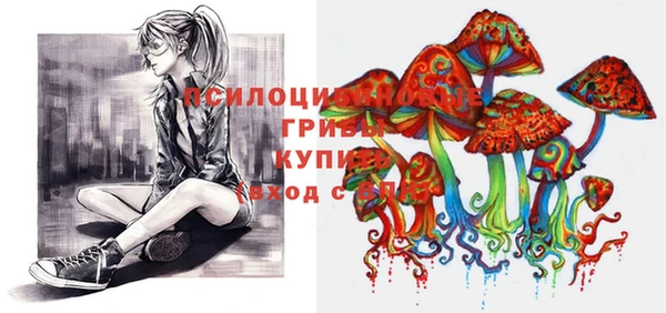 крисы Балахна