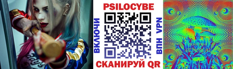 Купить закладки  Райчихинск  Галлюциногенные грибы мухоморы 